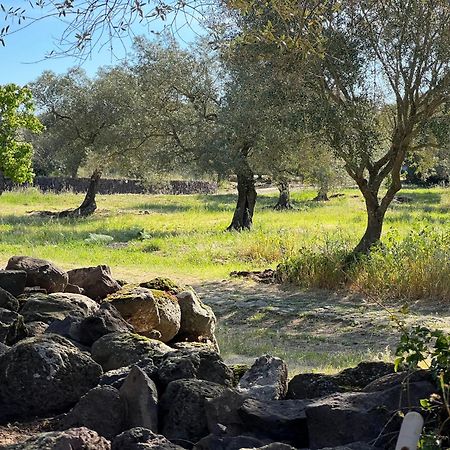 Muristene Pozzo Santa Cristina Paulilatino 外观 照片