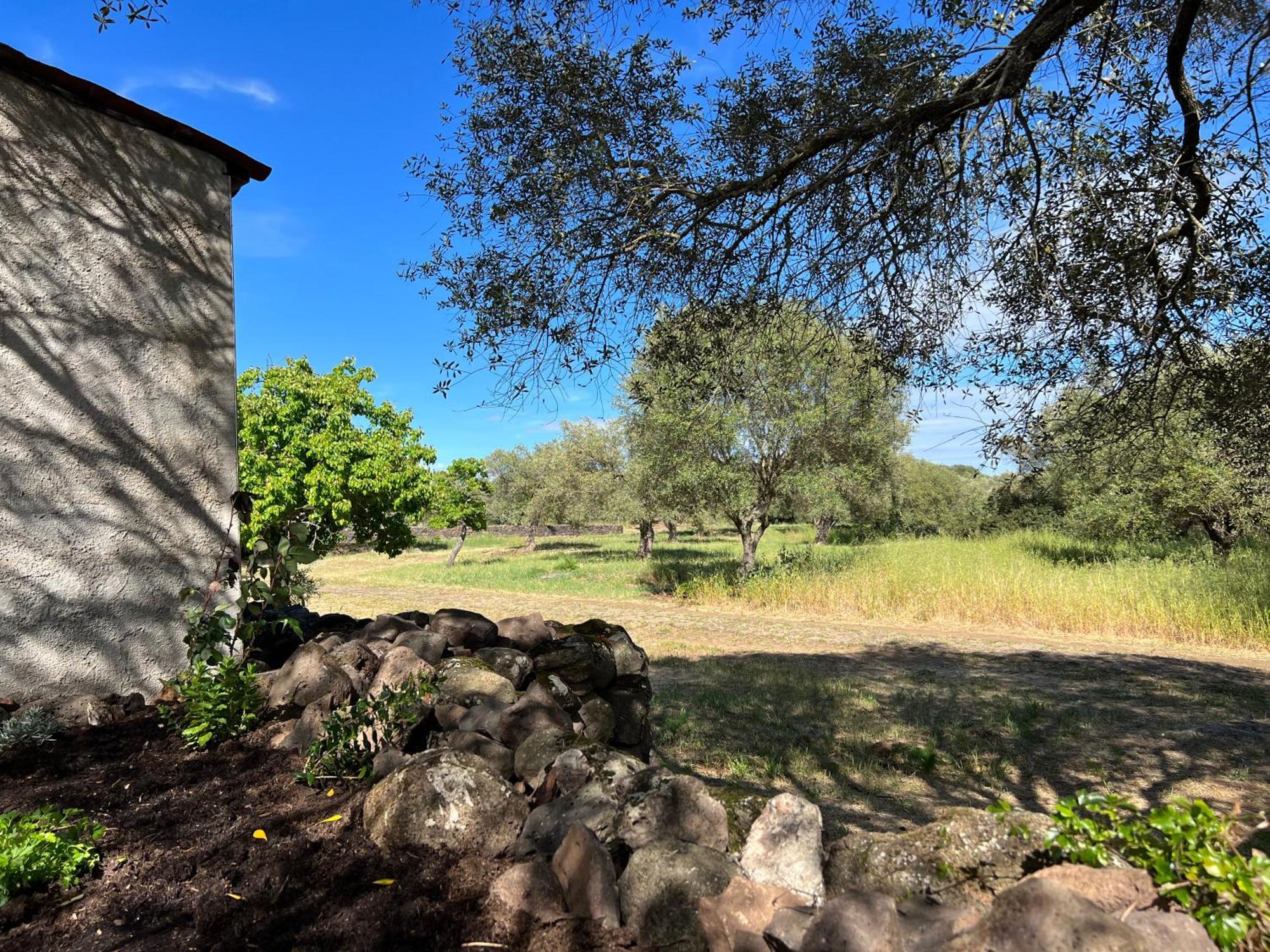 Muristene Pozzo Santa Cristina Paulilatino 外观 照片
